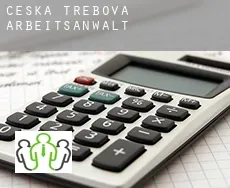 Česká Třebová  arbeitsanwalt