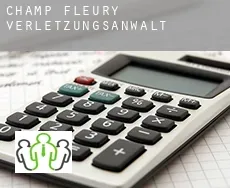 Champ Fleury  verletzungsanwalt