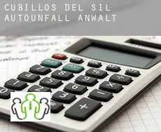 Cubillos del Sil  Autounfall Anwalt