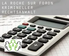 La Roche-sur-Foron krimineller rechtsanwalt