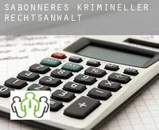 Sabonnères  krimineller rechtsanwalt