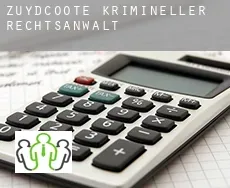Zuydcoote  krimineller rechtsanwalt