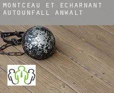 Montceau-et-Écharnant  Autounfall Anwalt