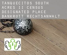 Tanquecitos South Acres II  bankrott rechtsanwalt