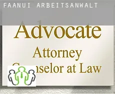 Faanui  arbeitsanwalt