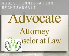 Hobbs immigration rechtsanwalt