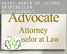 Saint-Aubin-de-Luigné  krimineller rechtsanwalt