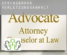 Springbrook  verletzungsanwalt