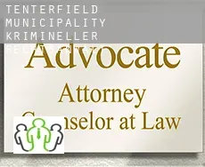 Tenterfield Municipality krimineller rechtsanwalt