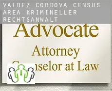 Valdez-Cordova Census Area krimineller rechtsanwalt