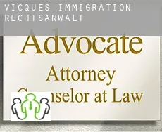Vicques  immigration rechtsanwalt