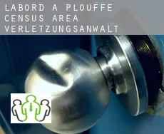 L'Abord-à-Plouffe (census area)  verletzungsanwalt