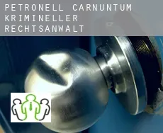 Petronell-Carnuntum  krimineller rechtsanwalt