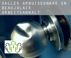 Salles-Arbuissonnas-en-Beaujolais  arbeitsanwalt