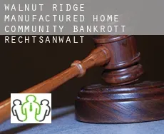 Walnut Ridge Manufactured Home Community  bankrott rechtsanwalt