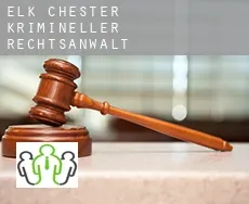 Elk Chester  krimineller rechtsanwalt
