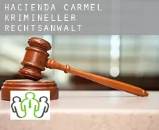 Hacienda Carmel  krimineller rechtsanwalt
