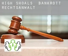 High Shoals  bankrott rechtsanwalt