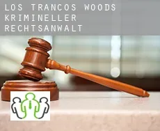 Los Trancos Woods  krimineller rechtsanwalt