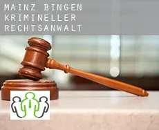 Mainz-Bingen Landkreis  krimineller rechtsanwalt