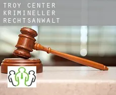 Troy Center  krimineller rechtsanwalt