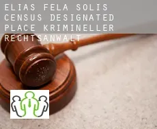 Elias-Fela Solis  krimineller rechtsanwalt