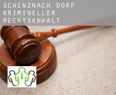 Schinznach Dorf  krimineller rechtsanwalt