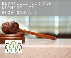 Blonville-sur-Mer  krimineller rechtsanwalt