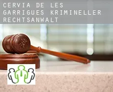 Cervià de les Garrigues  krimineller rechtsanwalt