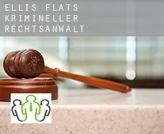 Ellis Flats  krimineller rechtsanwalt