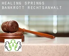 Healing Springs  bankrott rechtsanwalt