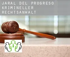 Jaral del Progreso  krimineller rechtsanwalt