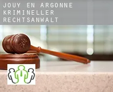 Jouy-en-Argonne  krimineller rechtsanwalt