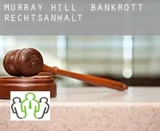Murray Hill  bankrott rechtsanwalt