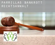 Parrillas  bankrott rechtsanwalt