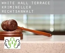 White Hall Terrace  krimineller rechtsanwalt