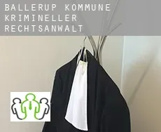 Ballerup Kommune krimineller rechtsanwalt