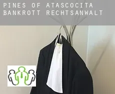 Pines of Atascocita  bankrott rechtsanwalt
