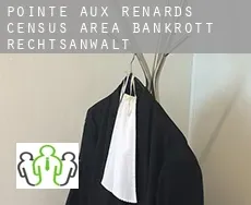 Pointe-aux-Renards (census area)  bankrott rechtsanwalt