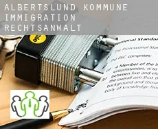 Albertslund Kommune immigration rechtsanwalt