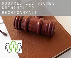 Rouvres-les-Vignes  krimineller rechtsanwalt