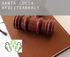 Departamento de Santa Lucía  arbeitsanwalt