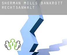 Sherman Mills  bankrott rechtsanwalt