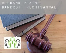 Redbank Plains  bankrott rechtsanwalt