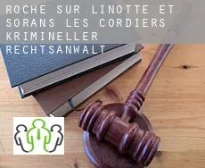 Roche-sur-Linotte-et-Sorans-les-Cordiers  krimineller rechtsanwalt