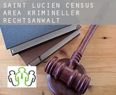 Saint-Lucien (census area)  krimineller rechtsanwalt