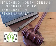 Salineno North  immigration rechtsanwalt