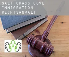 Salt Grass Cove  immigration rechtsanwalt