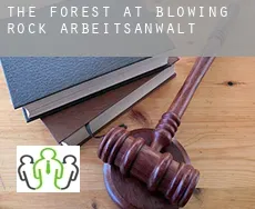 The Forest at Blowing Rock  arbeitsanwalt