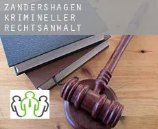 Zandershagen  krimineller rechtsanwalt